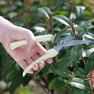 Tesoura para poda árvores pequenas